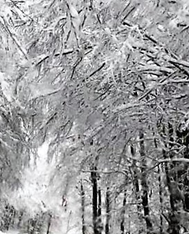 Torna nuovamente la neve sui nostri monti