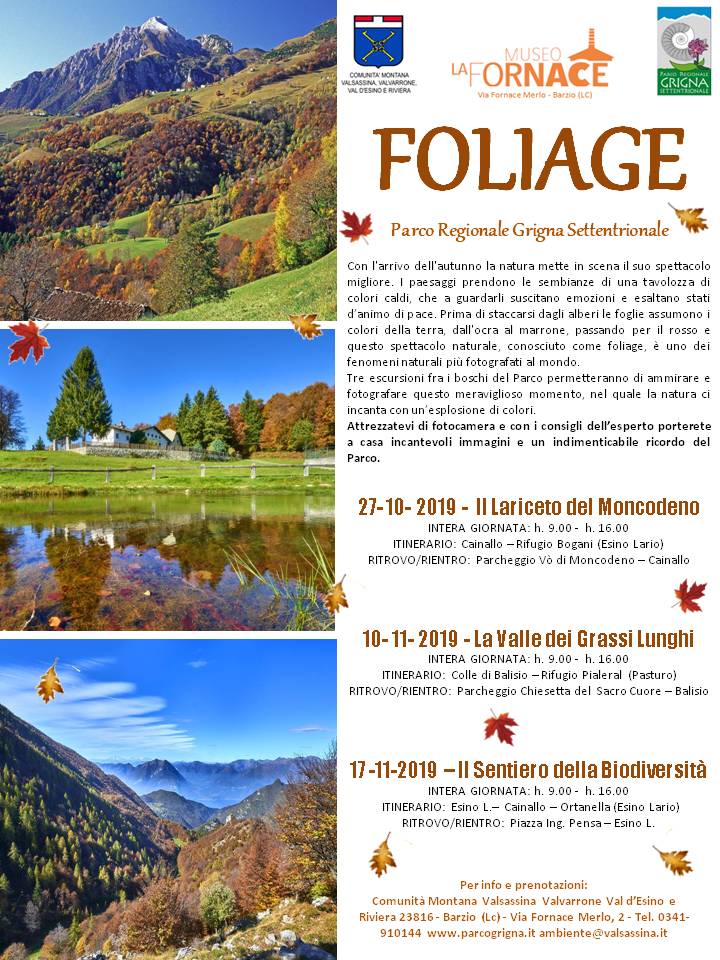 Foliage: un fantastico viaggio nei colori autunnali del Parco Regionale Grigna Settentrionale