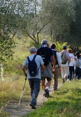 Gruppi di cammino serali a Perledo