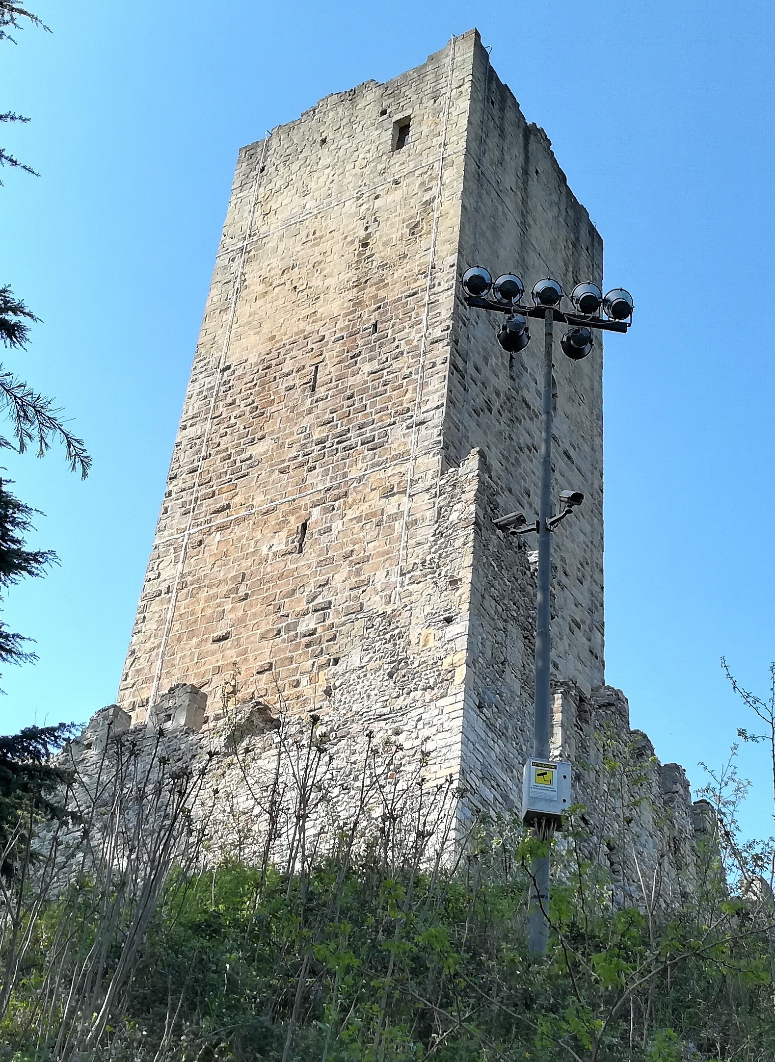 BioBlitz al Parco Regionale Naturale Spina Verde 