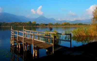 Lago di Alserio