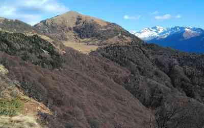 Monte Berlinghera