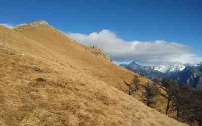 Monte Berlinghera