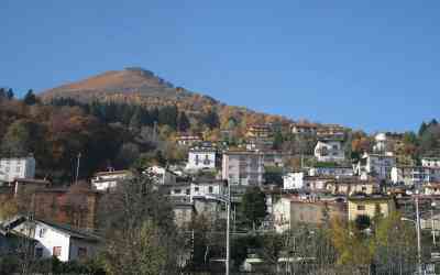 Pigra