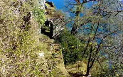 Giardino del merlo