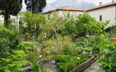 Orto botanico Fatebenefratelli