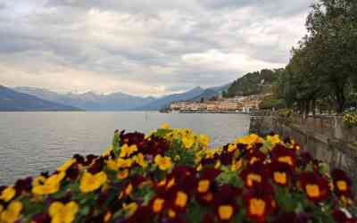 Primavera a Bellagio 