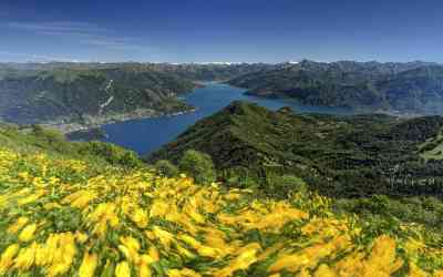 Un lago di fiori - Monte San Primo